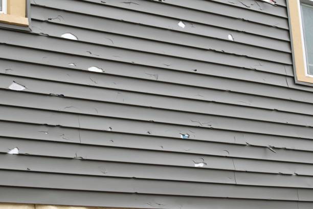 Best Steel Siding Installation  in Bellaire, TX