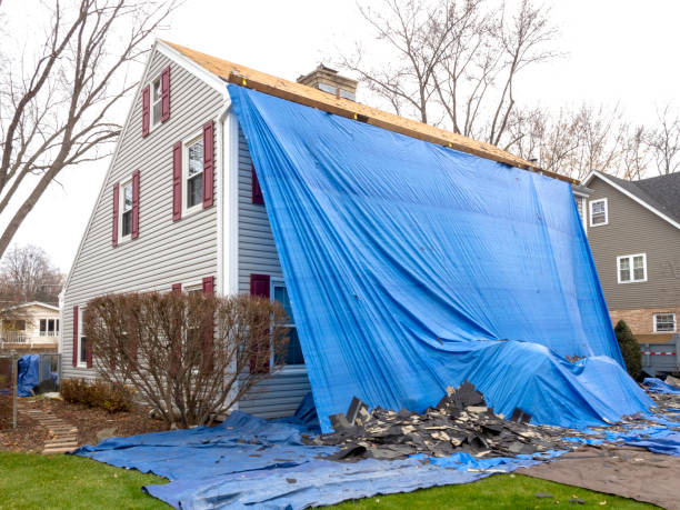 Best Historical Building Siding Restoration  in Bellaire, TX